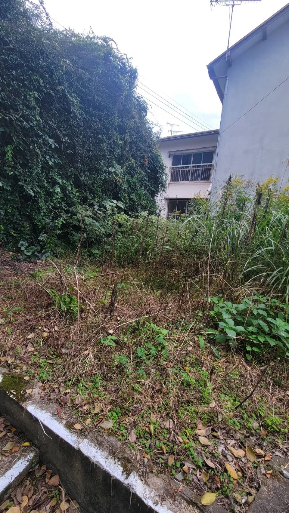 長崎市塩浜町　整地完了♪